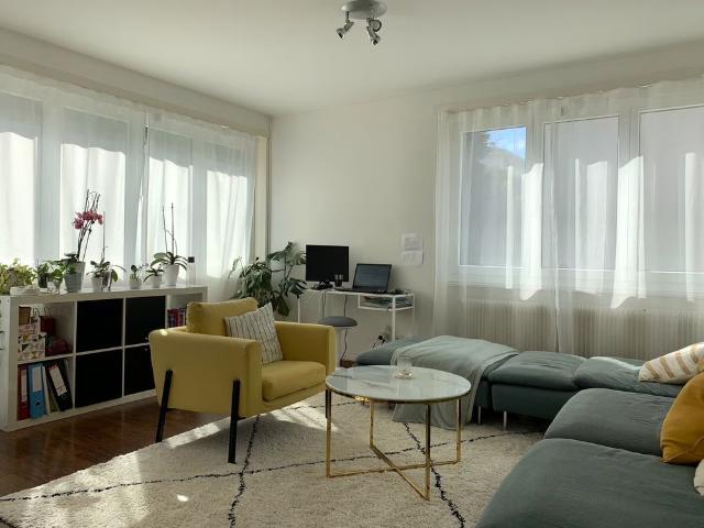 2.5 Zimmer, 55 m², EG