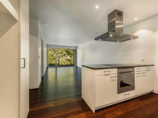 2.5 Zimmer, 55 m², EG