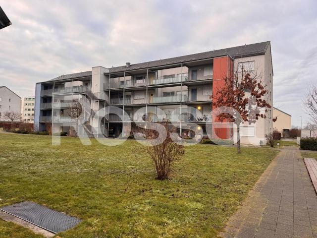 2.5 Zimmer, 56 m², 1. Stock