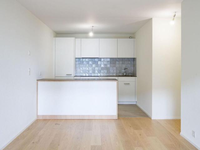 2.5 Zimmer, 56 m², 1. Stock