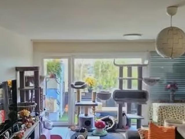 2.5 Zimmer, 56 m²