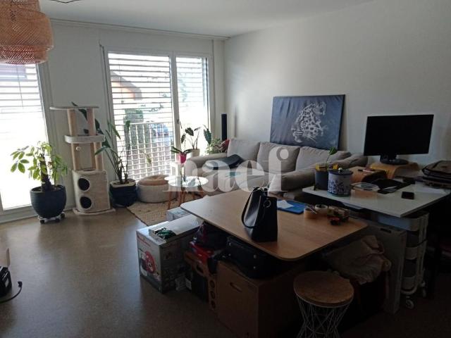 2.5 Zimmer, 57 m², 3. Stock