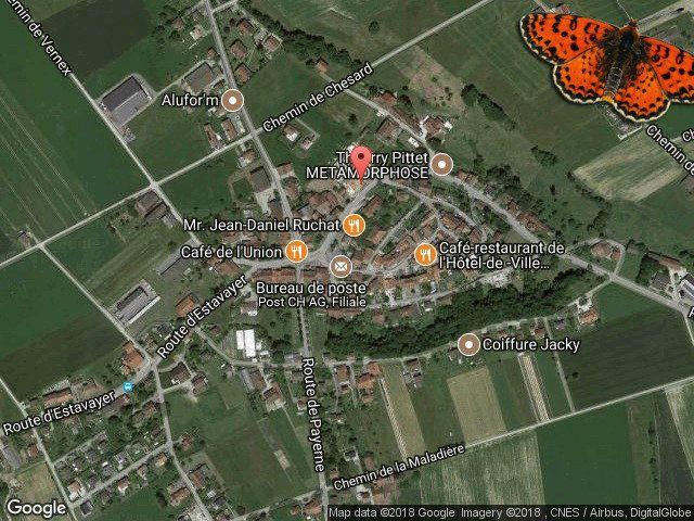 2.5 Zimmer, 57 m², EG