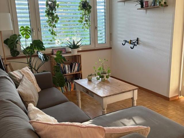 2.5 Zimmer, 58 m²