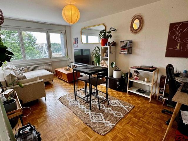 2.5 Zimmer, 50 m², 3. Stock