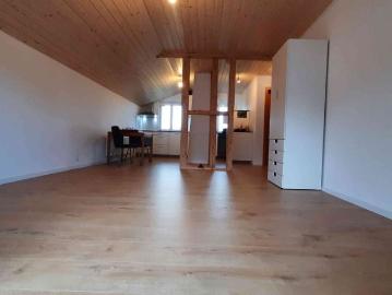 2.5 Zimmer, 50 m², 1. Stock