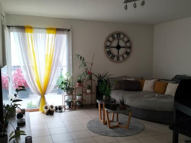 2.5 Zimmer, 50 m²