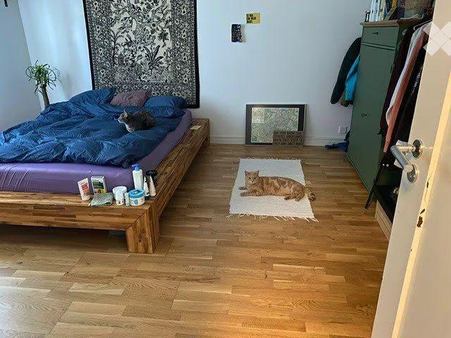 2.5 Zimmer, 50 m²