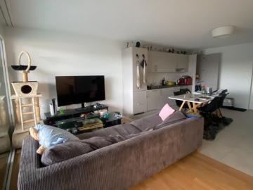 2.5 Zimmer, 50 m²