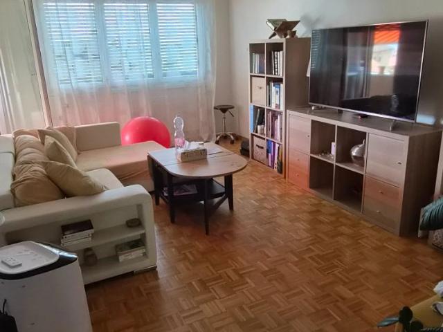 2.5 Zimmer, 50 m²
