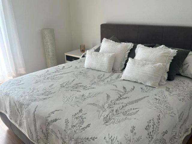 2.5 Zimmer, 50 m²