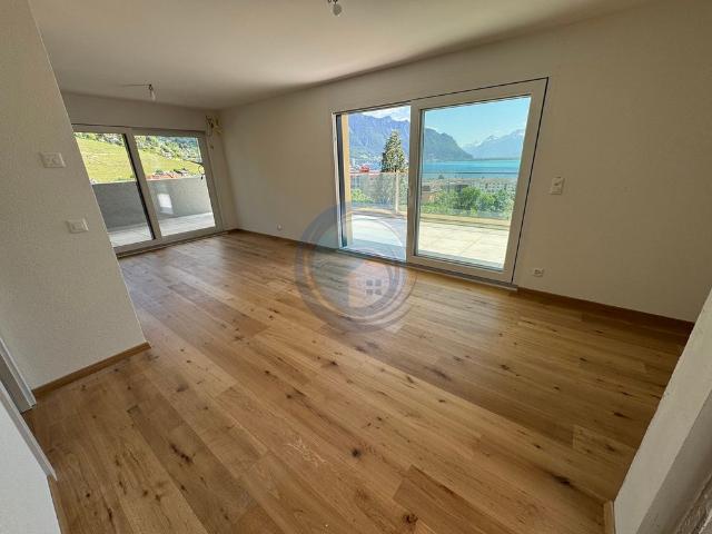 2.5 Zimmer, 50 m²
