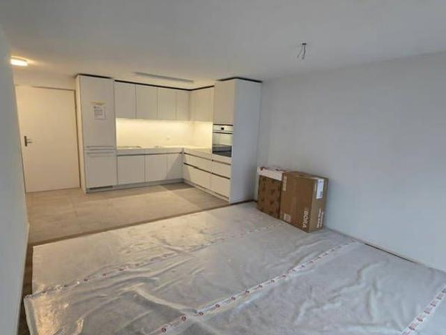 2.5 Zimmer, 50 m², EG