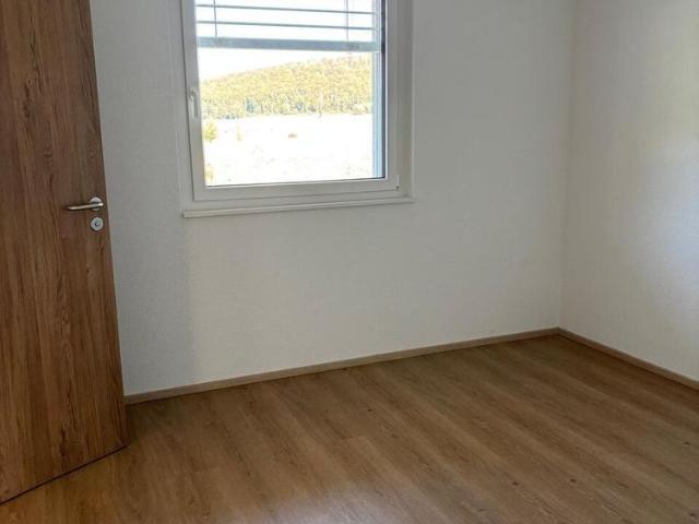 2.5 Zimmer, 52 m², EG