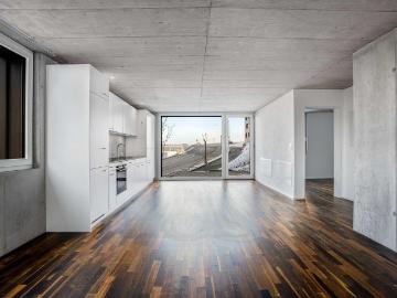 2.5 Zimmer, 53 m², EG