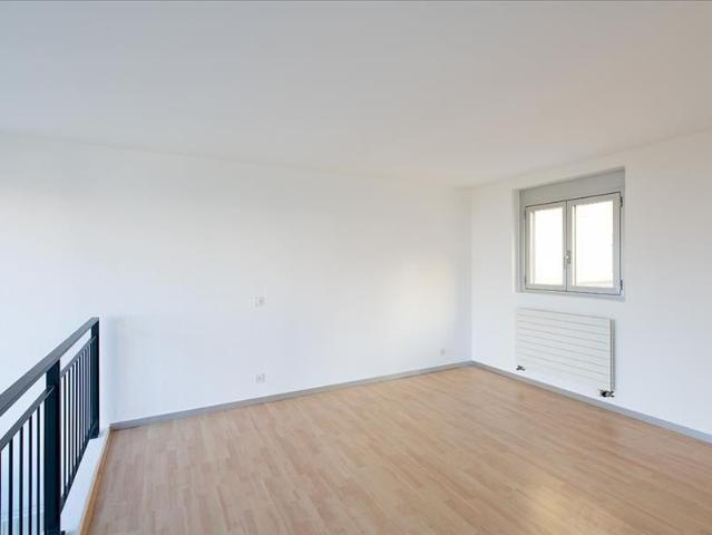 2.5 Zimmer, 53 m², EG
