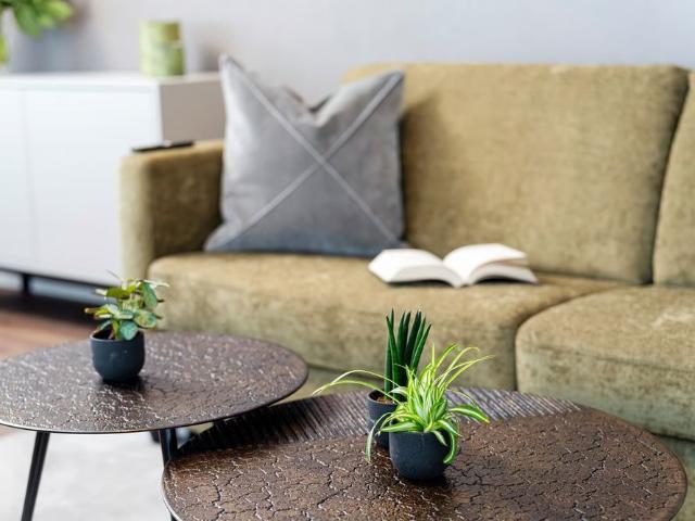 2.5 Zimmer, 67 m²