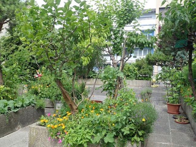 2.5 Zimmer, 60 m², 1. Stock