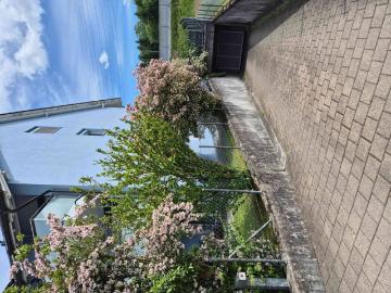 Rupperswil, Bezirk Lenzburg, Aargau - Parkplatz