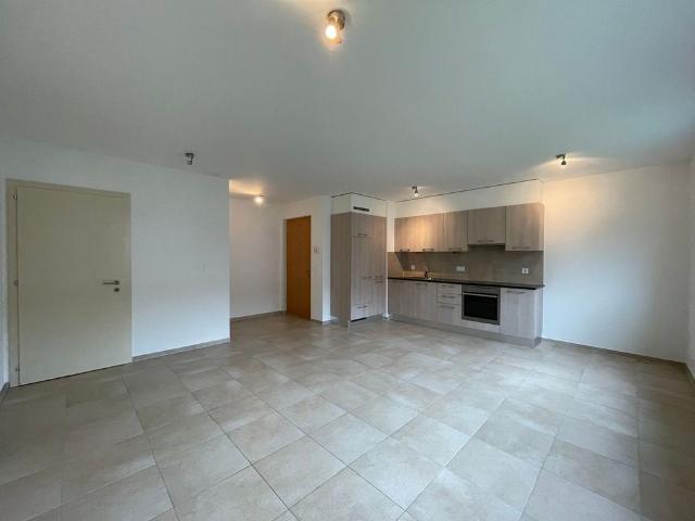 2.5 Zimmer, 61 m², EG