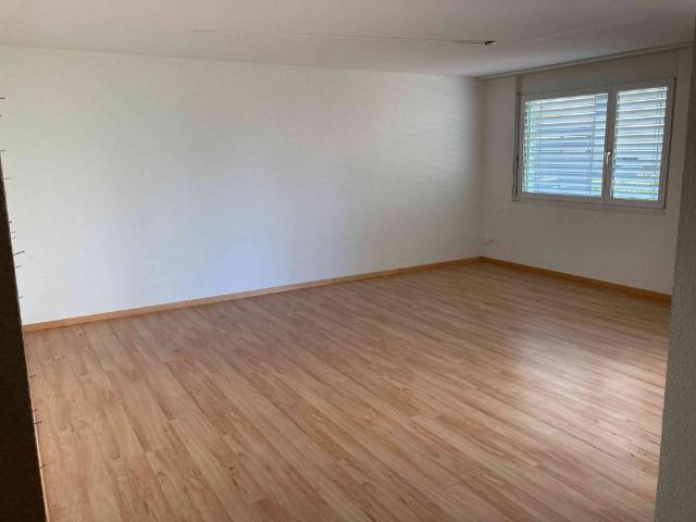 2.5 Zimmer, 62 m², EG