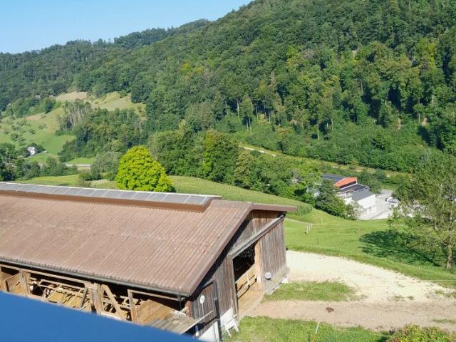 2.5 Zimmer, 75 m²