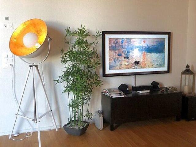 2.5 Zimmer, 77 m², 3. Stock