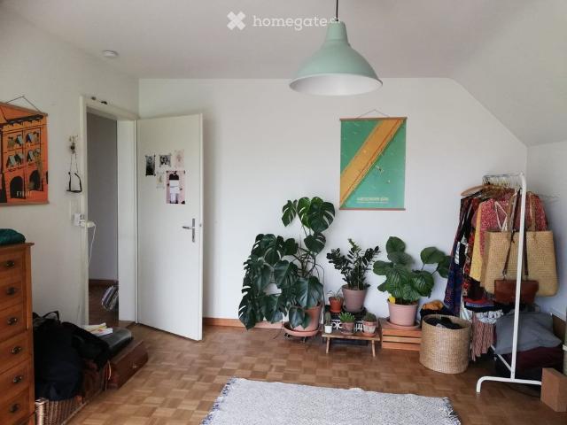 2.5 Zimmer, 70 m²