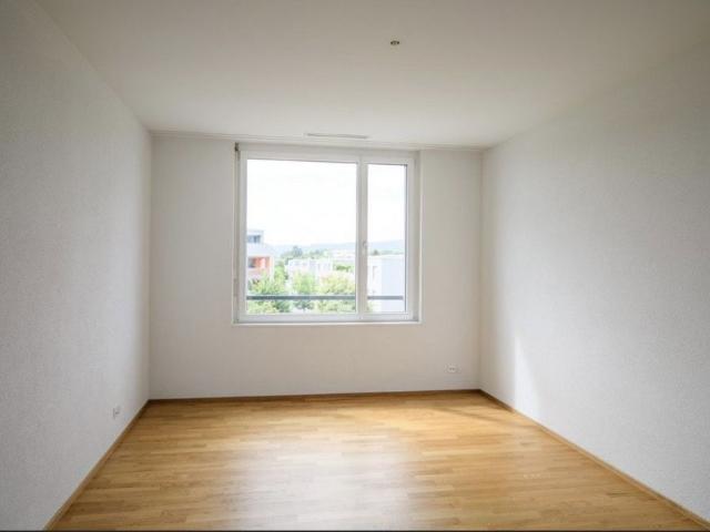2.5 Zimmer, 73 m², 1. Stock