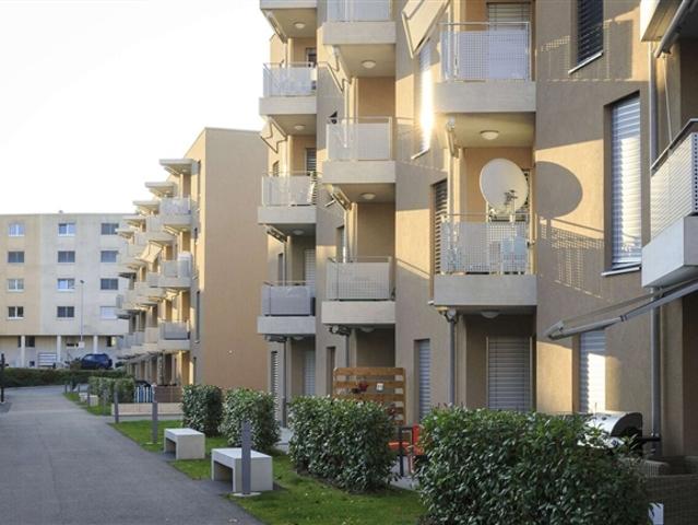 2.5 Zimmerwohnung im 1. Stock