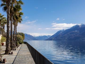 Cadogno, Brissago, Circolo dell'Isole, Bezirk Locarno, Tessin