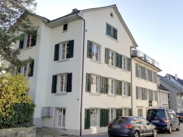 2.5 Zimmerwohnung im Herzen von Meilen