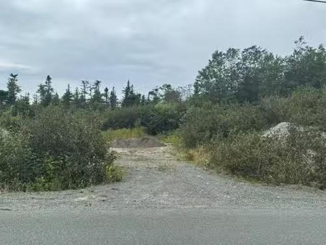2 6 Vineyard Drive, Paradise, NL, A1L 3V9 vacant land for sa.