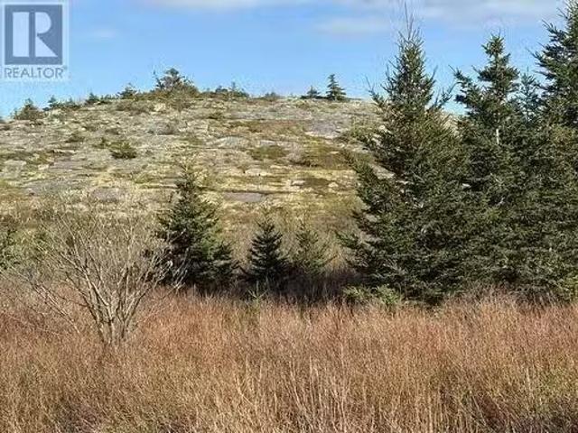 2A Menchions' Lane, Bay Roberts, NL, A0A 1G0 vacant land for.