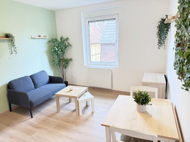 2P rénové en rez de jardin