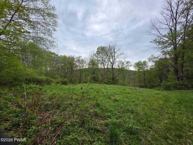 33 Bucks Road