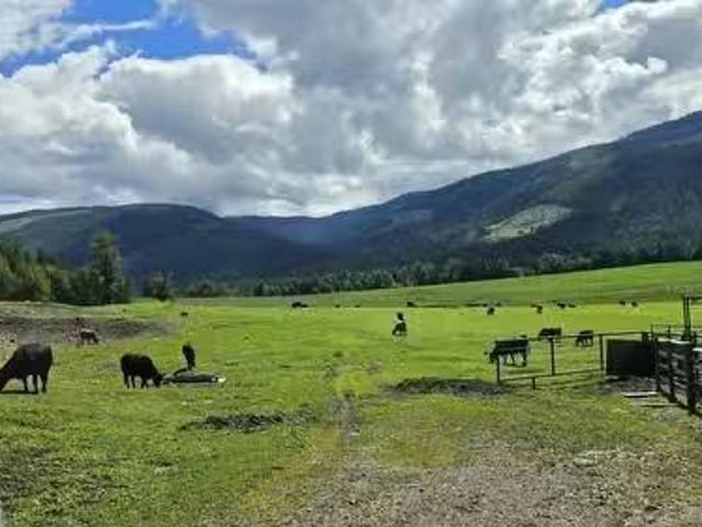 33 Lang Road, Cherryville, BC, V0E 2G3 vacant land for sale.