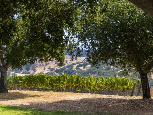 3001 Long Valley Road