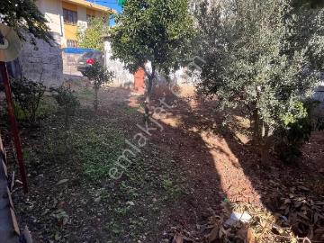 300 Metre Kare Bahçeli