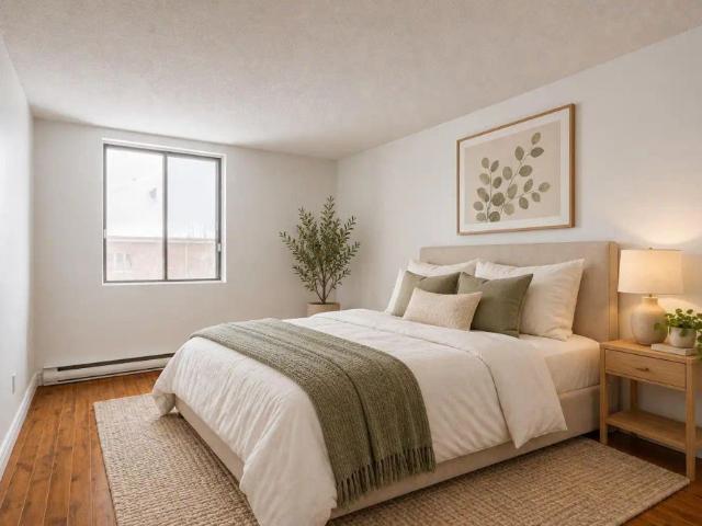 300 Rue Saint Georges — 3 ½