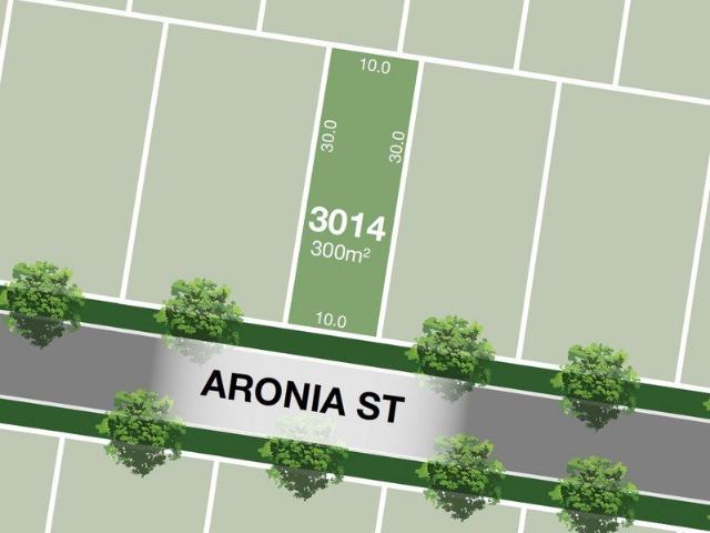 300m2 Premium Allotment