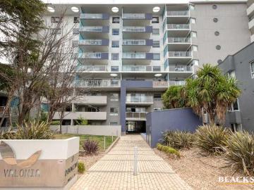 Braddon, Majura