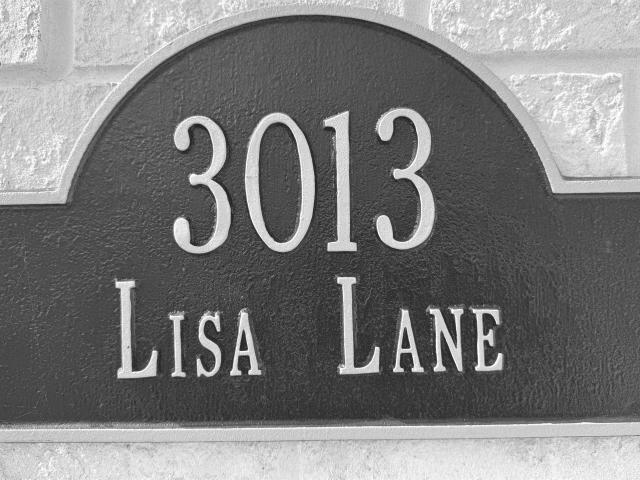 3013 Lisa Lane