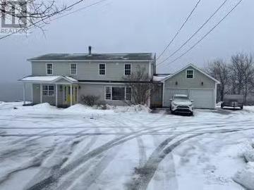 301A Main Street, Springdale, NL, A0J 1T0 house for sale Li.