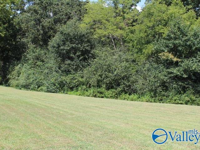 302 County Road 1836