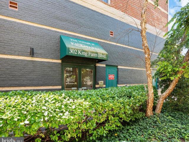 302 King Farm Boulevard # 30208