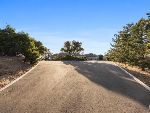 30300 Piebald Court
