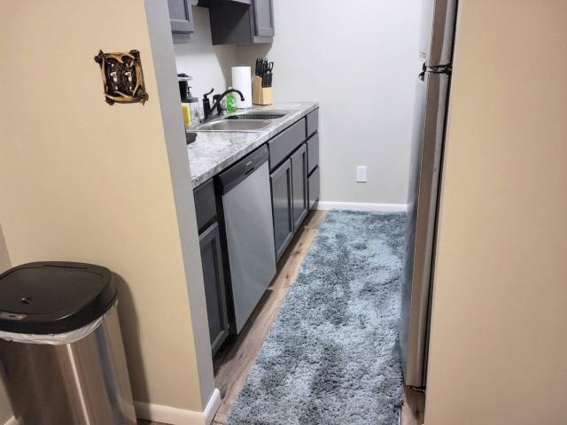303 White Deer Run