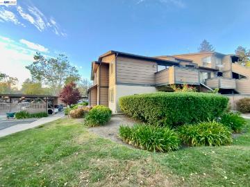 304 Hackamore Ln