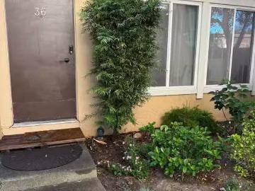 3055 TREAT BLVD APT 36, CONCORD, CA 94518